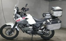 YAMAHA XT660 TENERE Z 2010 DM021