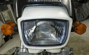 KAWASAKI SUPER SHERPA KL250G