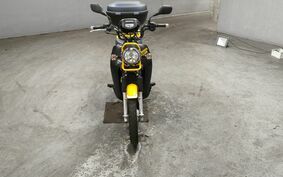 HONDA CROSS CUB 110 JA10