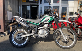 YAMAHA OTHER DG17J