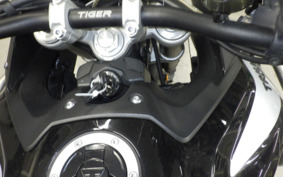 TRIUMPH TIGER 900 GT PRO 2020