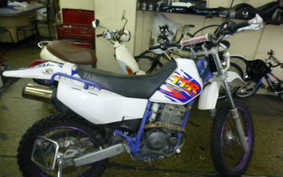 YAMAHA TT250R RAID 1994 4GY