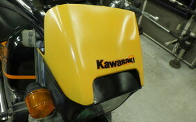 KAWASAKI SUPER SHERPA KL250G