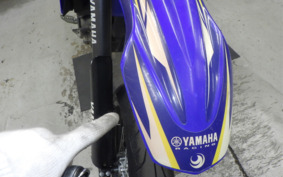 YAMAHA WR250X DG15J