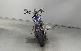 HARLEY XL1200C 2010 CT3