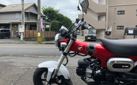 HONDA  DUX 125 JB04