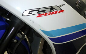 SUZUKI GSX250R DN11A