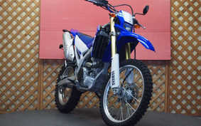 YAMAHA WR250R 2010 DG15J