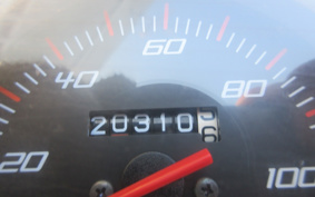 HONDA LEAD 110 JF19