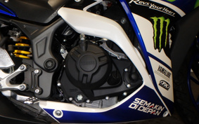 YAMAHA YZF-R25 RG10