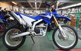 YAMAHA WR250R DG15J