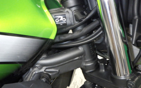 KAWASAKI ZRX1200 D 2011 ZRT20D