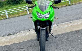 KAWASAKI Ninja 250R SE EX250K