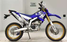 YAMAHA WR250R DG15J