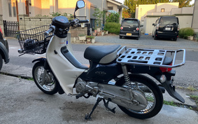 HONDA C50 SUPER CUB Pro AA04