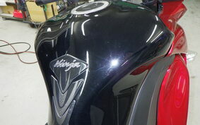 KAWASAKI NINJA 1000 2011 ZXCG11