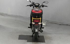 HONDA CROSS CUB 110 JA10