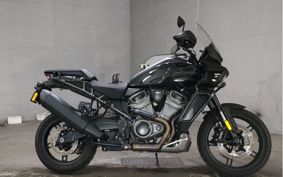 HARLEY  HARLEY RA1250S ZES