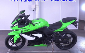 KAWASAKI NINJA250R
