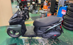 YAMAHA FORCE ABS SG79J