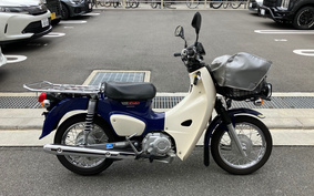 HONDA C110 SUPER CUB PRO JA42