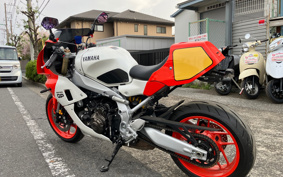 YAMAHA XSR900 GP 2024 RN96J