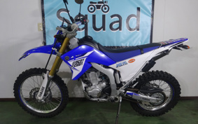 YAMAHA WR250R DG15J