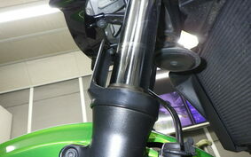 KAWASAKI ZRX1200 D 2010 ZRT20D