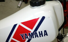 YAMAHA TY250 53Y