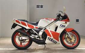 YAMAHA TZR250 1KT