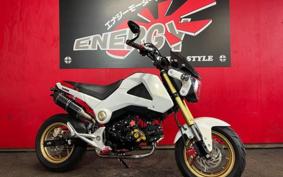HONDA GU ROM JC61