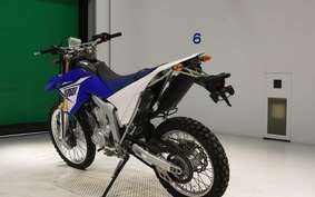 YAMAHA WR250R DG15J