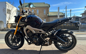 YAMAHA MT-09 2014 RN34J