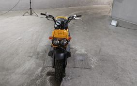 HONDA ZUMAR AF58