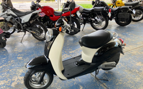HONDA CREA SCOOPY AF55