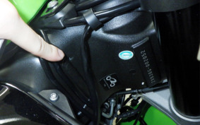 KAWASAKI NINJA ZX-6R A 2019 ZX636G