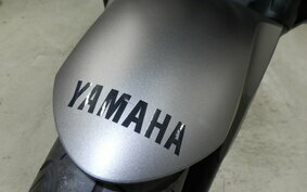 YAMAHA YZF-R25 A RG10J