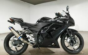 KAWASAKI NINJA 250 EX250K