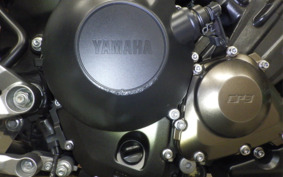 YAMAHA MT-09 ASP 2020 RN52J