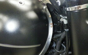 KAWASAKI W800 STREET 2020 EJ800B