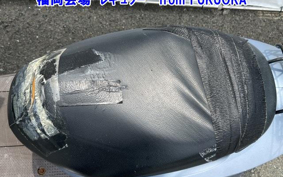 HONDA DIO CHESTER