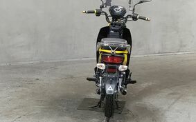 HONDA CROSS CUB 110 JA10