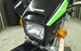 KAWASAKI SUPER SHERPA KL250G