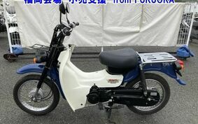 SUZUKI バーディ50FI BA43A