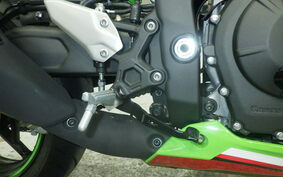 KAWASAKI ZX-4RR 2023 ZX400P