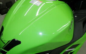 KAWASAKI NINJA 250 EX250L