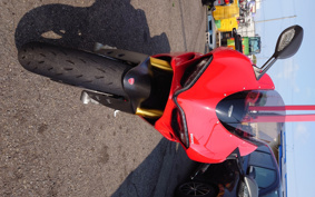 DUCATI  DUCATI 1299PANIGA-RES 2017 ZDMH905JAFB