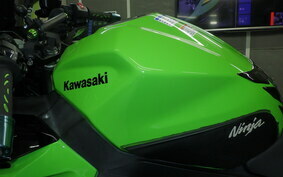 KAWASAKI NINJA 400 2019 EX400G