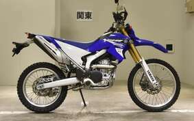 YAMAHA WR250R DG15J