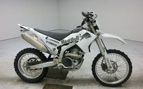 YAMAHA WR250R 2007 DG15J